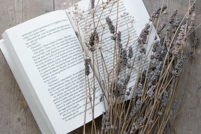 Filosofisk Kafe: Prestasjonssamfunnet og Slow Living.